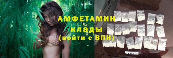 трава Балахна