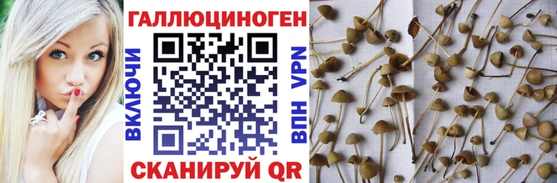 Псилоцибиновые грибы ЛСД  Белозерск 