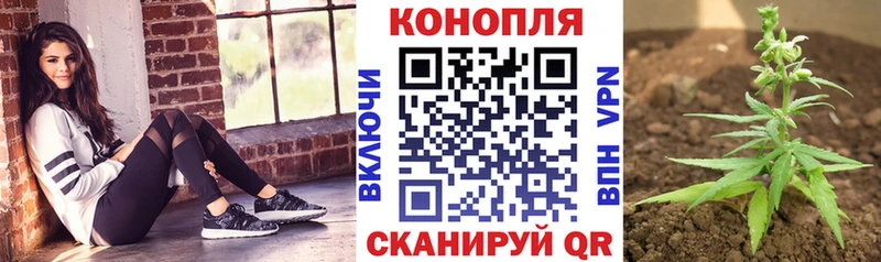 Канабис Ganja  Белозерск 